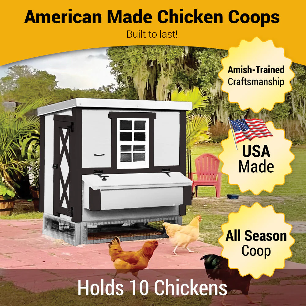 Medium Chicken Coop - Up to 10 Chickens - Image 29