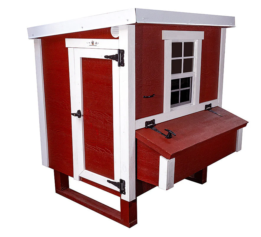 Medium Chicken Coop - Up to 10 Chickens - Image 30