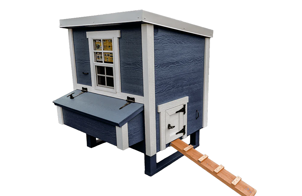 Medium Chicken Coop - Up to 10 Chickens - Image 37