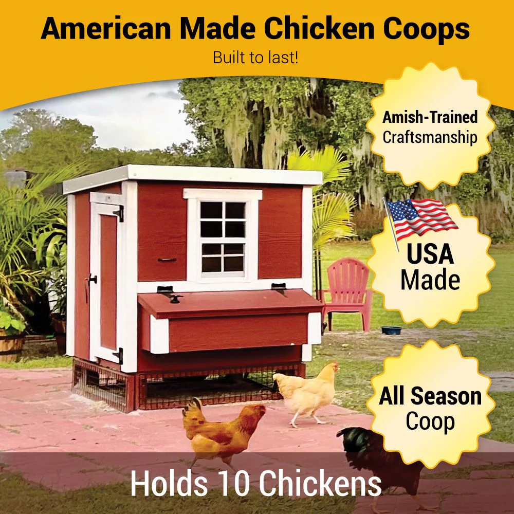 Medium Chicken Coop - Up to 10 Chickens - Image 42