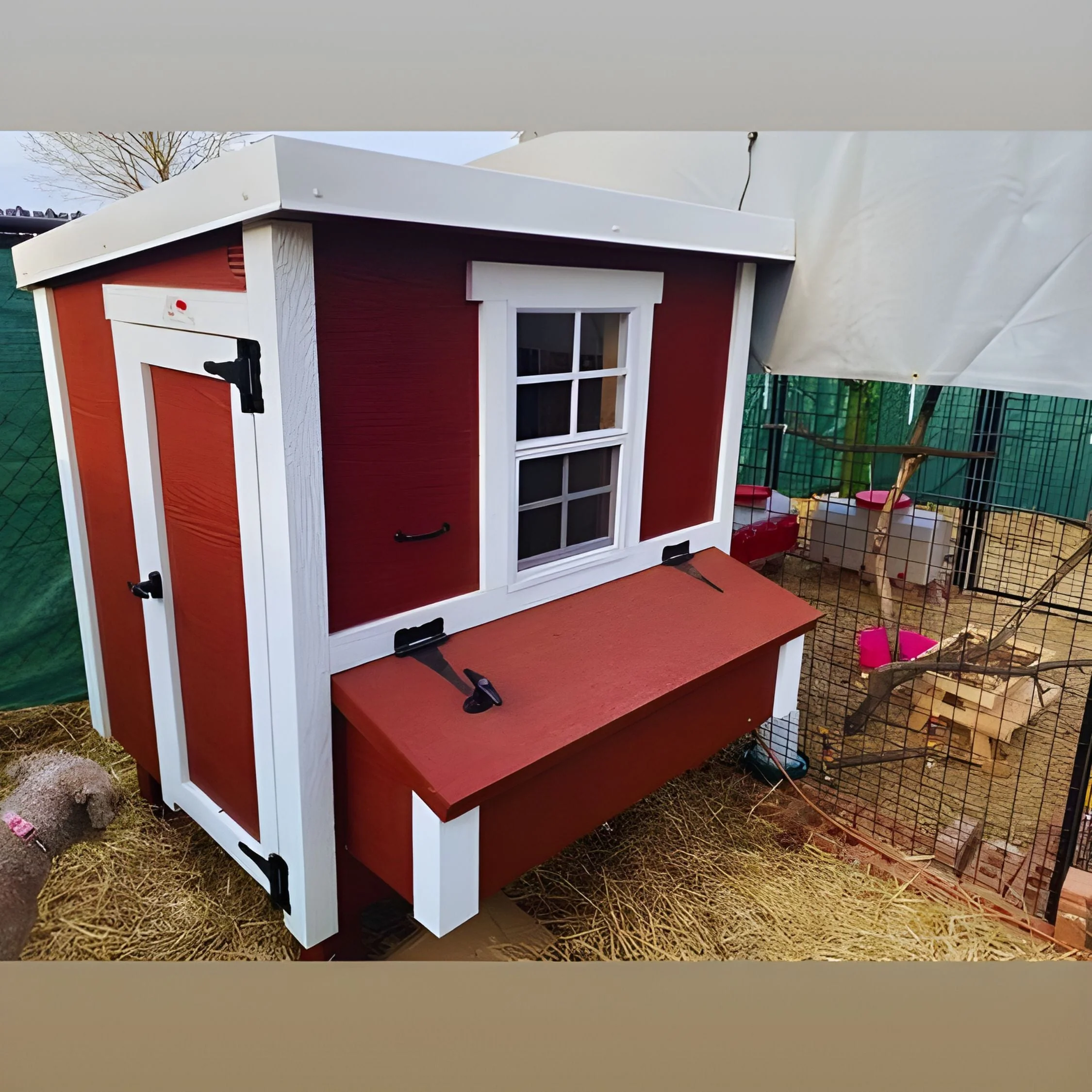 Medium Chicken Coop - Up to 10 Chickens - Image 49