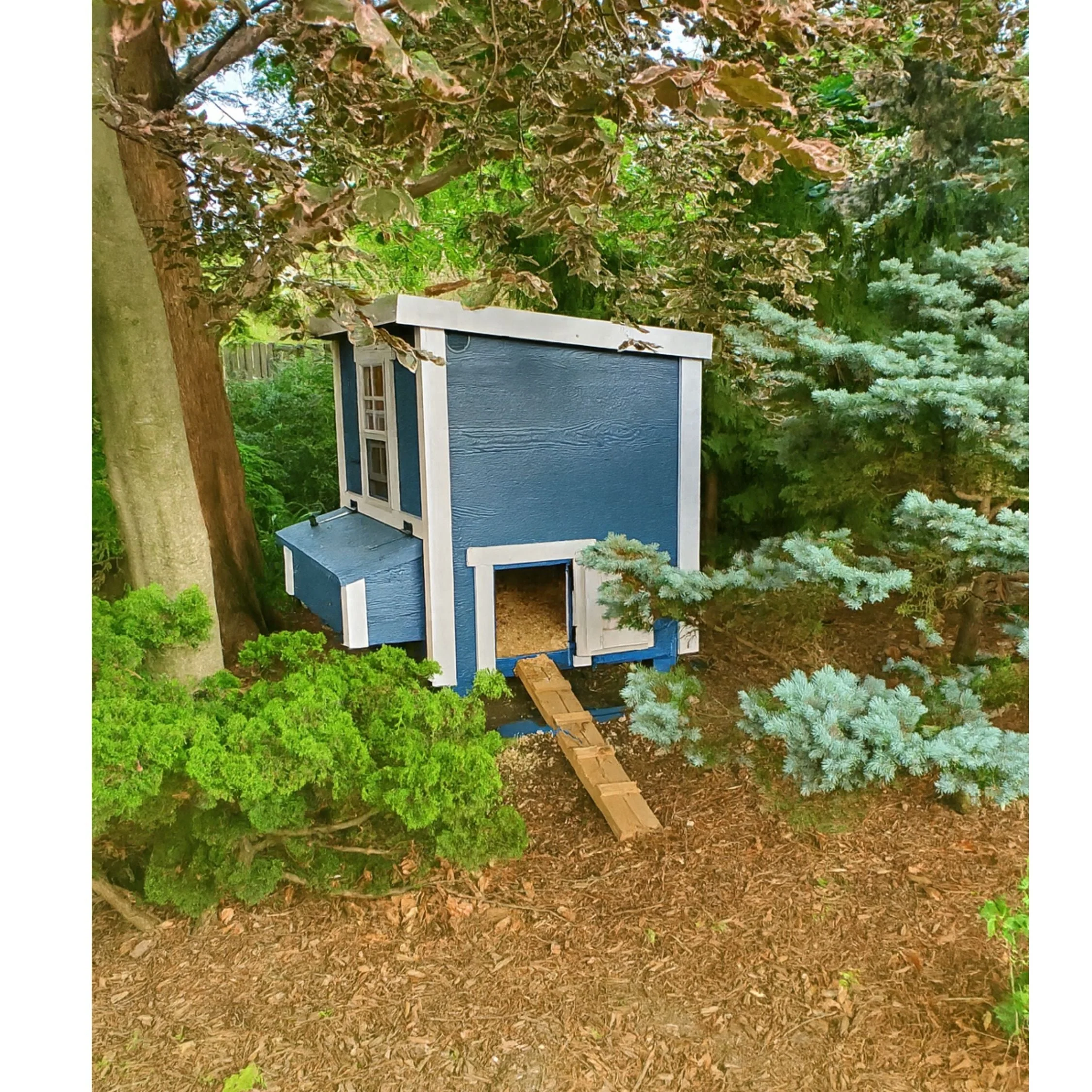 Medium Chicken Coop - Up to 10 Chickens - Image 64