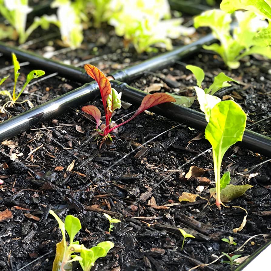 METAL RAISED GARDEN BED KITS WITH GARDEN GRIDS - Image 9
