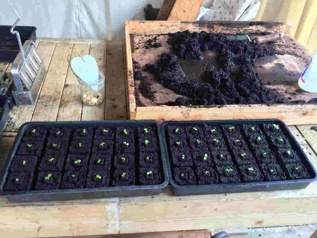 Micro 20 Soil Blocker - Image 6