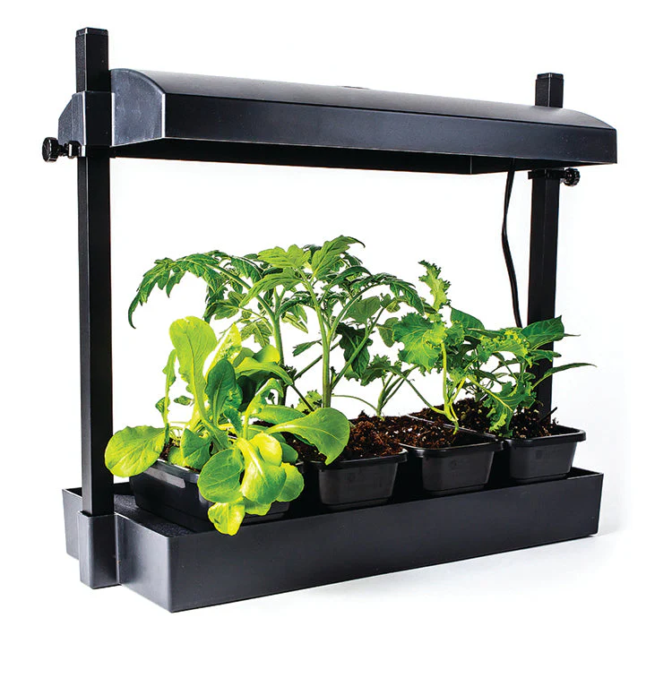 Micro LED Grow Light Garden, Black - Image 2