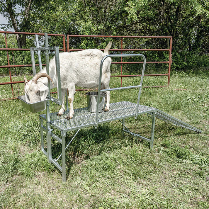 Milking Stand Kit - Image 5
