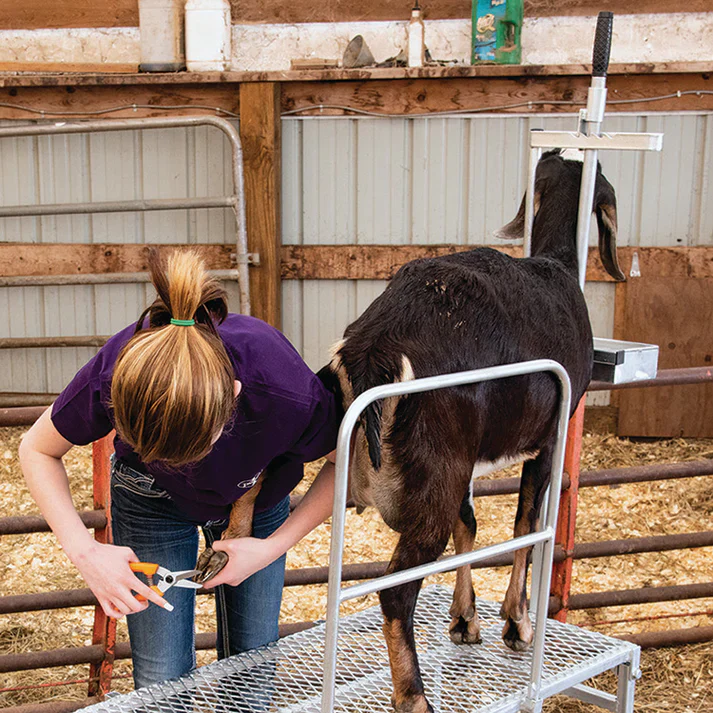 Milking Stand Kit - Image 6