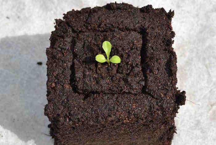 Mini 4 Soil Blocker - Image 5