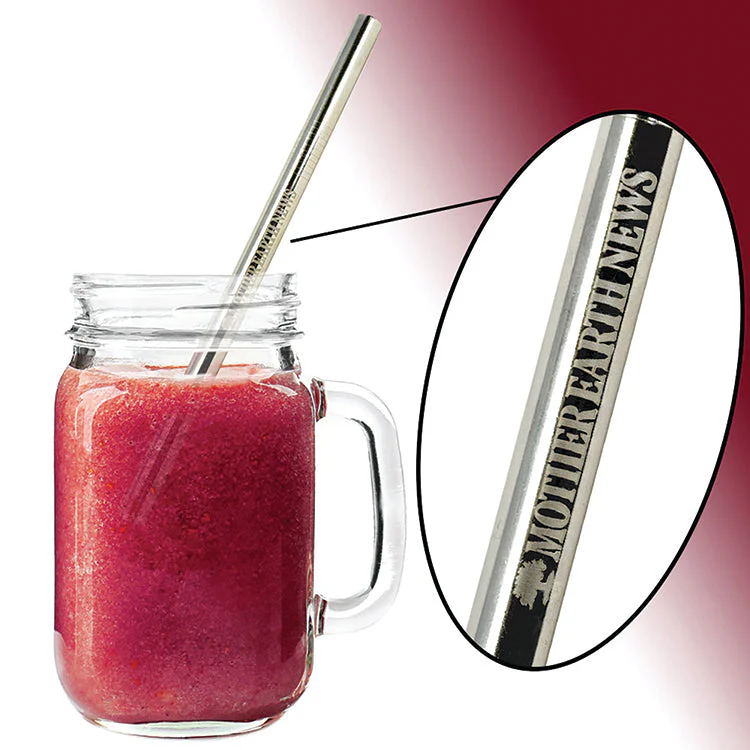 Mother Earth News Stainless Steel Smoothie Straw