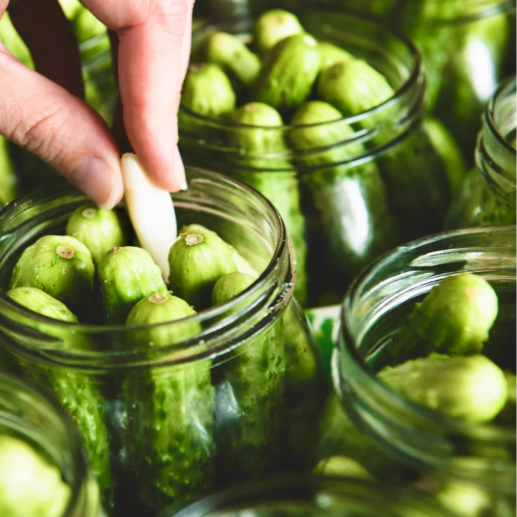 National Pickling Cucumber - Image 2