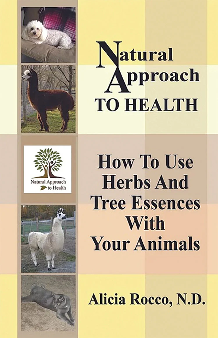 Natural Approach To Health: How To Use Herbs And Tree Essences With Your Animals