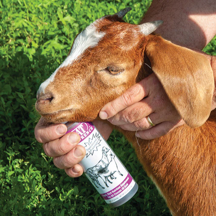 Nutri-Drench For Sheep & Goats - Image 2