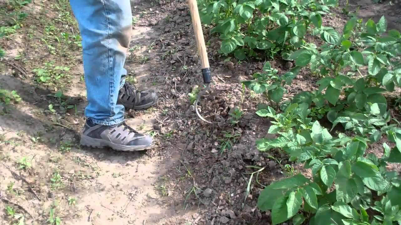 OGDEN CobraHead Long Handle Weeder & Cultivator Garden Tool - Image 10