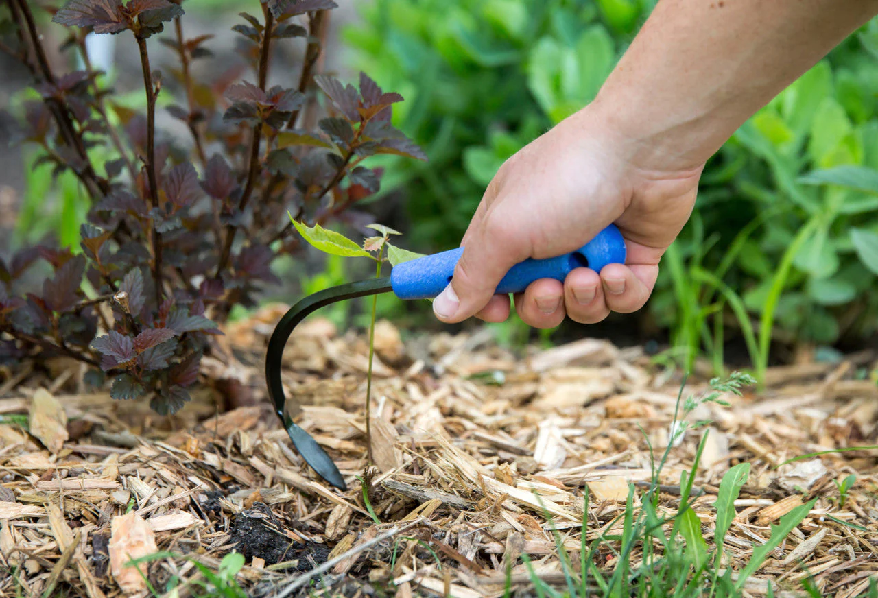 OGDEN CobraHead Mini Weeder & Cultivator Garden Tool - Image 2
