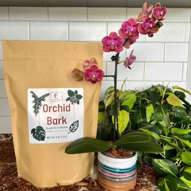 Premium Douglas Fir Orchid Bark - Image 5