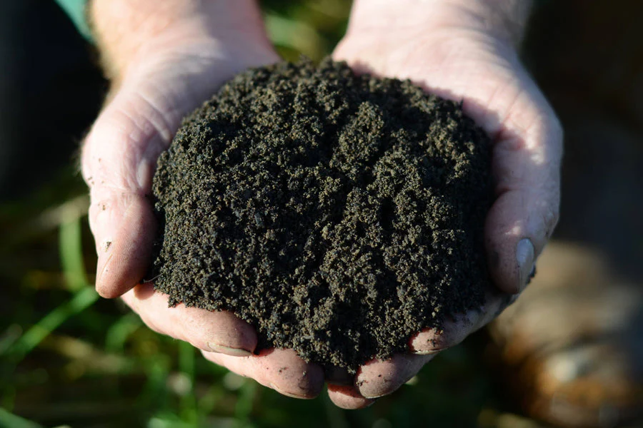 Certified Organic Worm Castings - Image 3