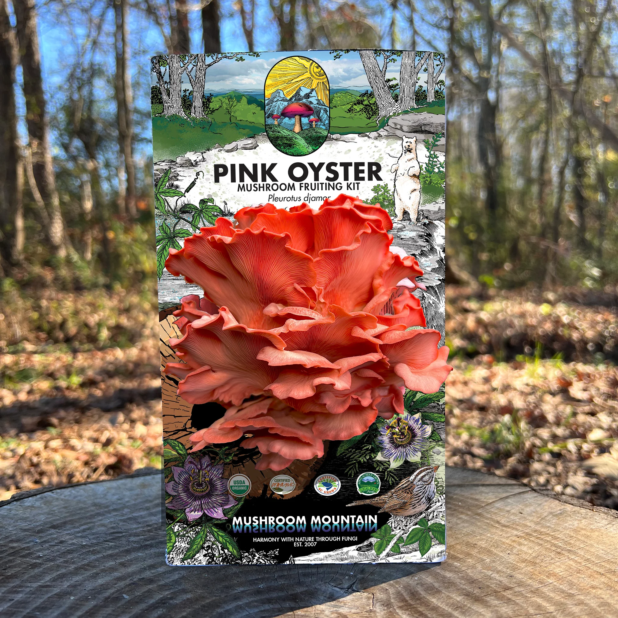 Oyster Mushroom Fruiting Kit - Image 7