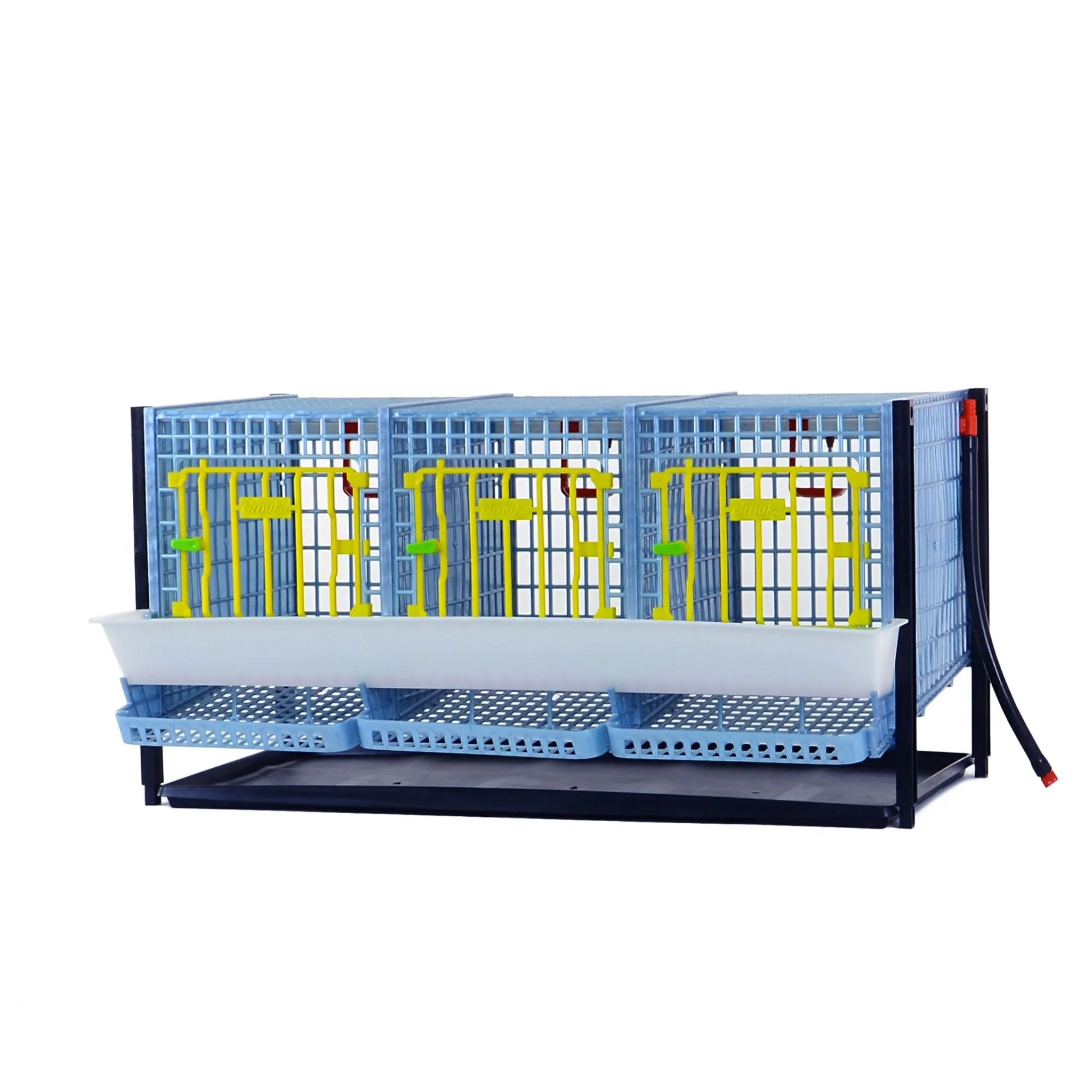 Partridge Cage - Layer addition