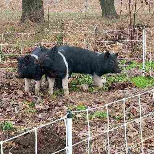 Pig QuikFence 6/30/12 Starter Kit (Black/White) - Image 4