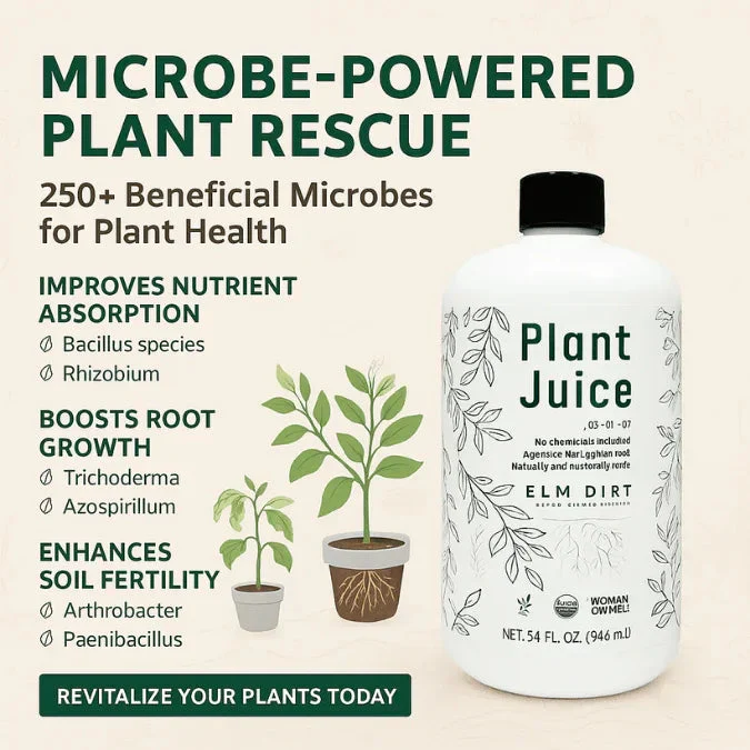 Plant Juice - Image 4