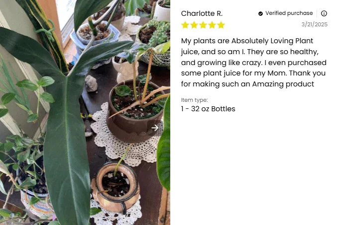 Plant Juice - Image 6