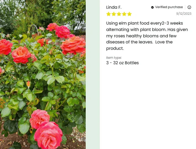 Plant Juice - Image 7