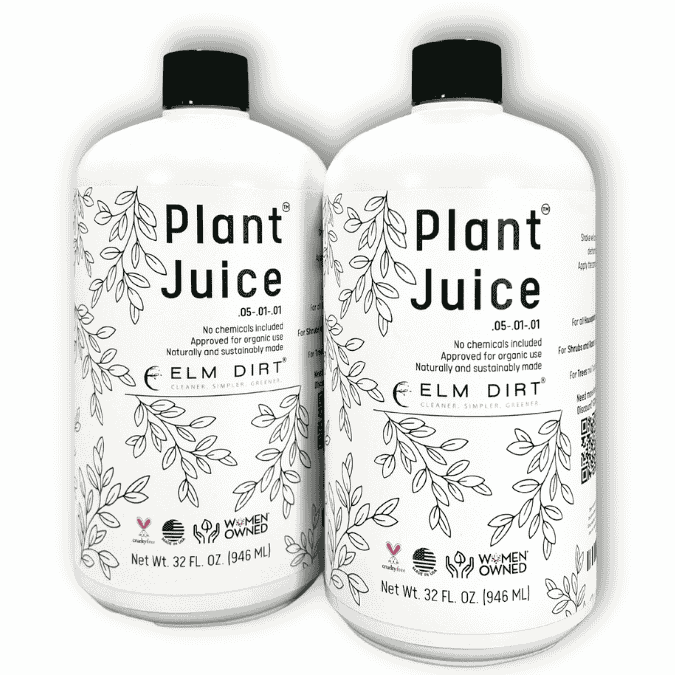 Plant Juice - Image 9