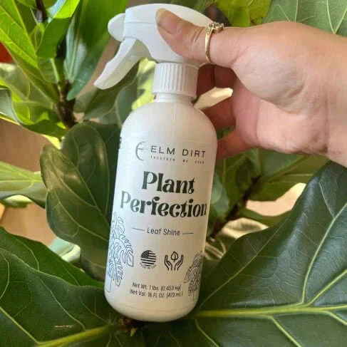 Plant Perfection - Image 2