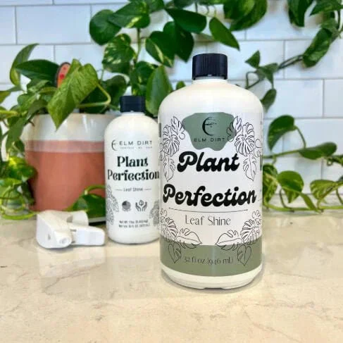Plant Perfection - Image 3