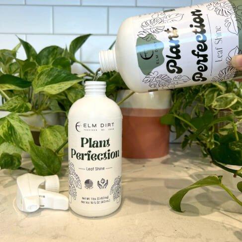 Plant Perfection - Image 6