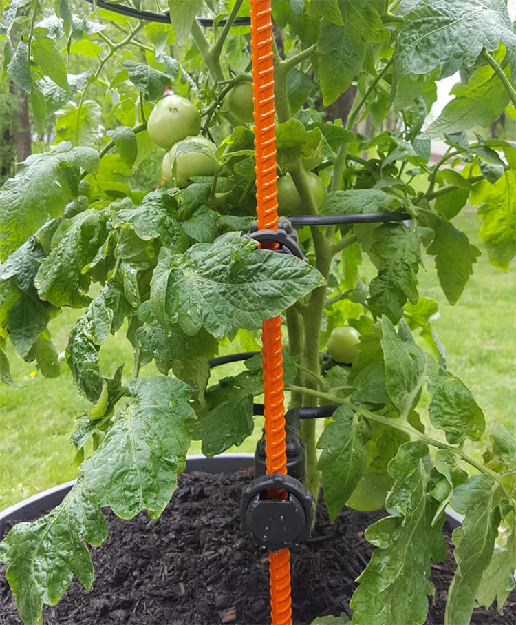 PLANT SUPPORT RINGS, MULTI-PACK - Image 5