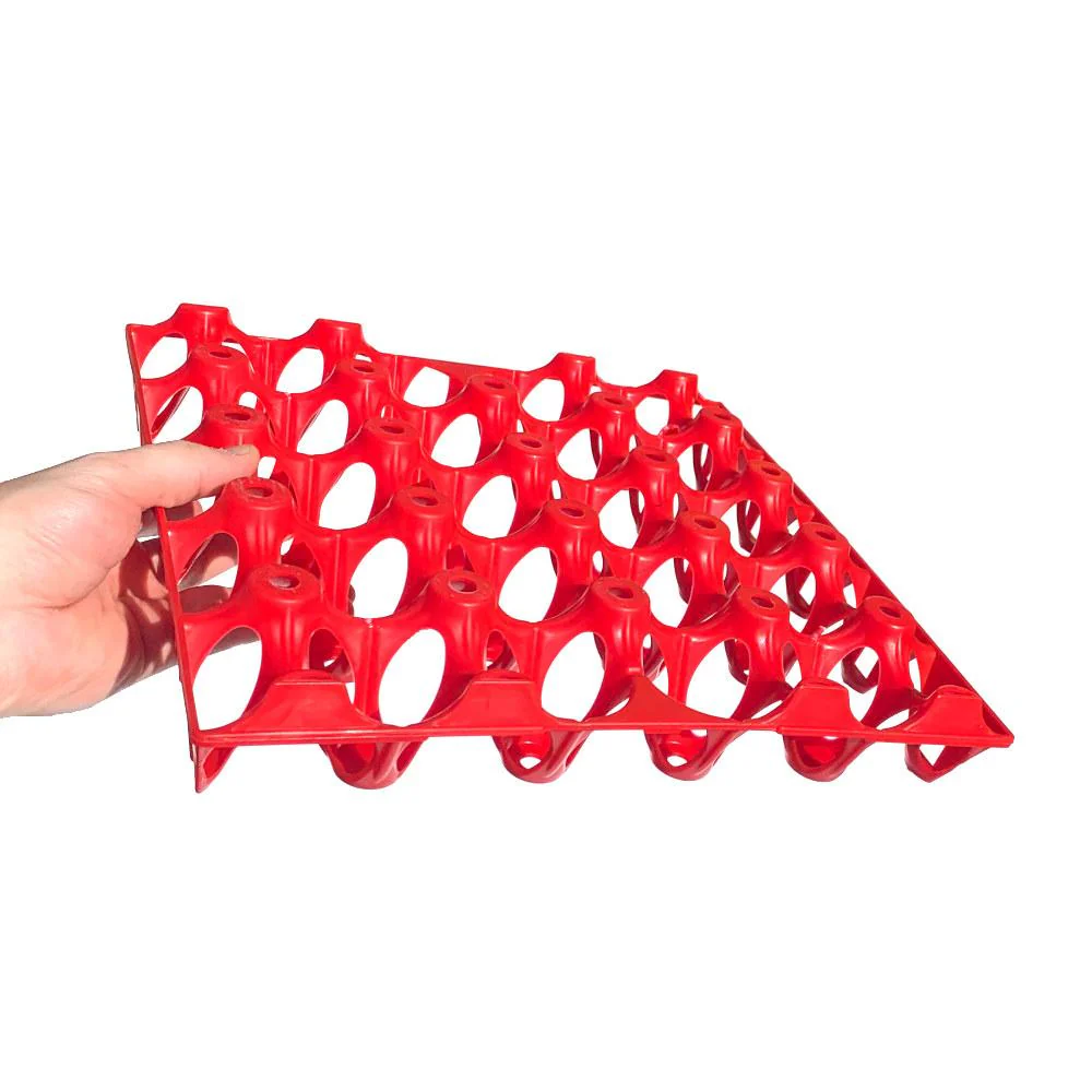 Plastic Egg Tray - Turkey / Duck - 20 Eggs - Image 3