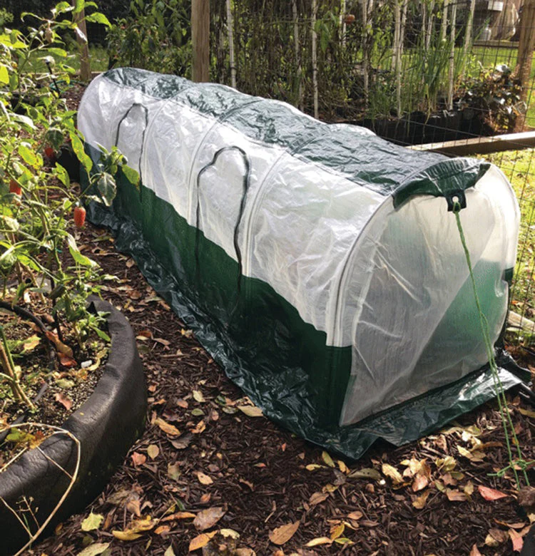 Polytunnel "Superdome" - Image 2