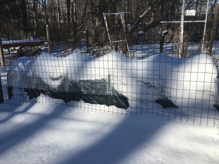 Polytunnel "Superdome" - Image 3