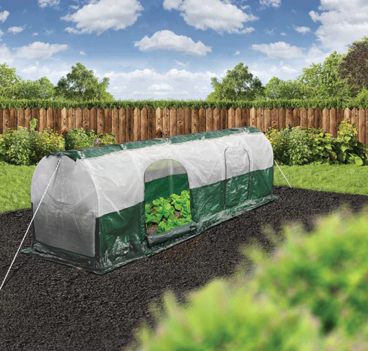 Polytunnel "Superdome" - Image 4