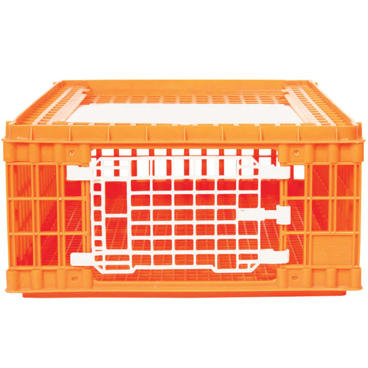 Poultry Crate - Image 2
