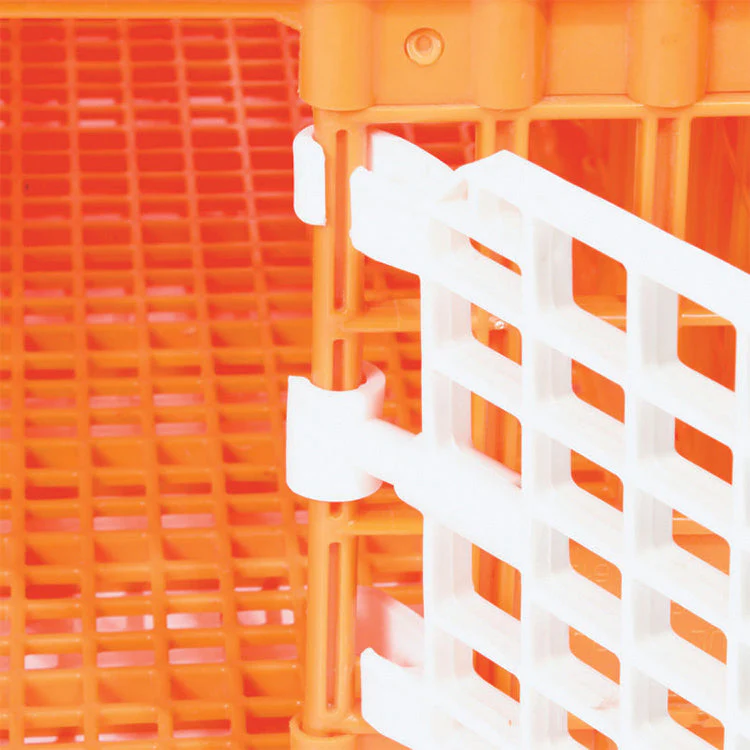 Poultry Crate - Image 3
