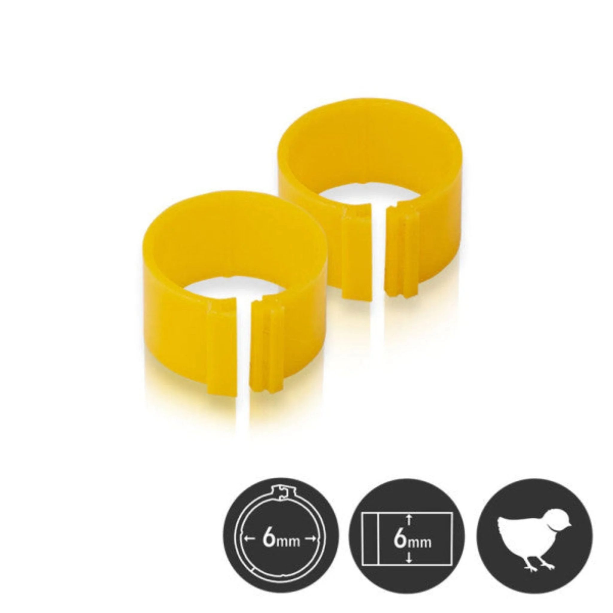 Poultry Leg Bands - 6 mm - Pack of 25 - Image 5