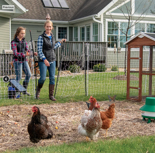 PoultryNet® Gate - Image 2