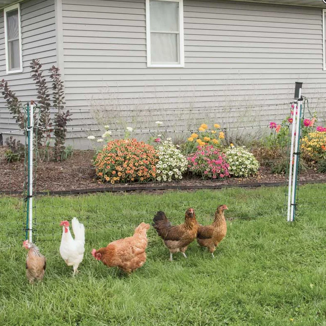 PoultryNet® Gate - Image 8