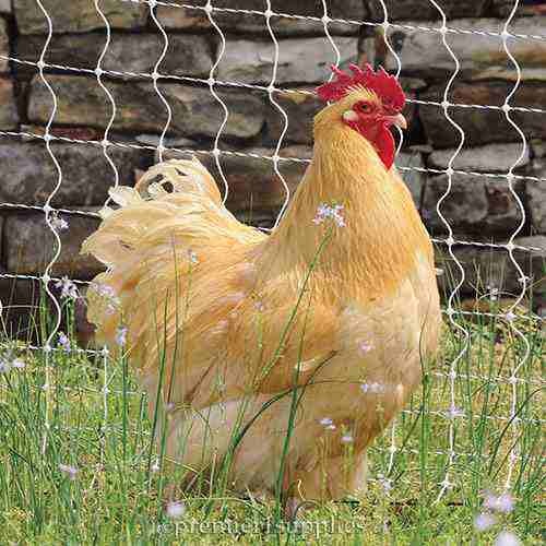PoultryNet Plus 12/42/3 Starter Kit (Black/White) - Image 5