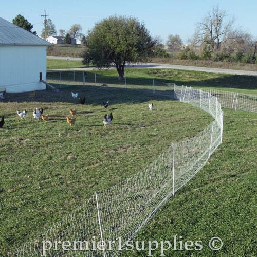 PoultryNet Plus 12/48/3 Starter Kit (Green/Black) - Image 4