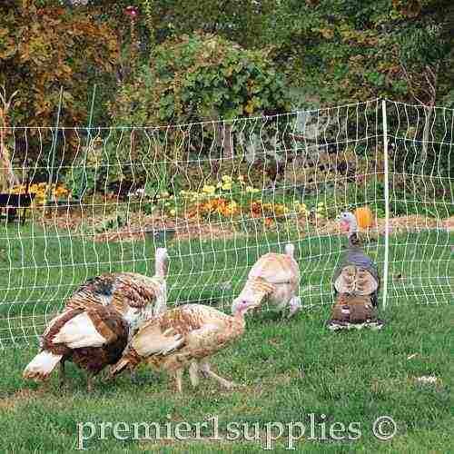 PoultryNet Plus 12/48/3 Starter Kit (Green/Black) - Image 6