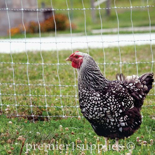 PoultryNet Plus 12/48/3 Starter Kit (Green/Black) - Image 7