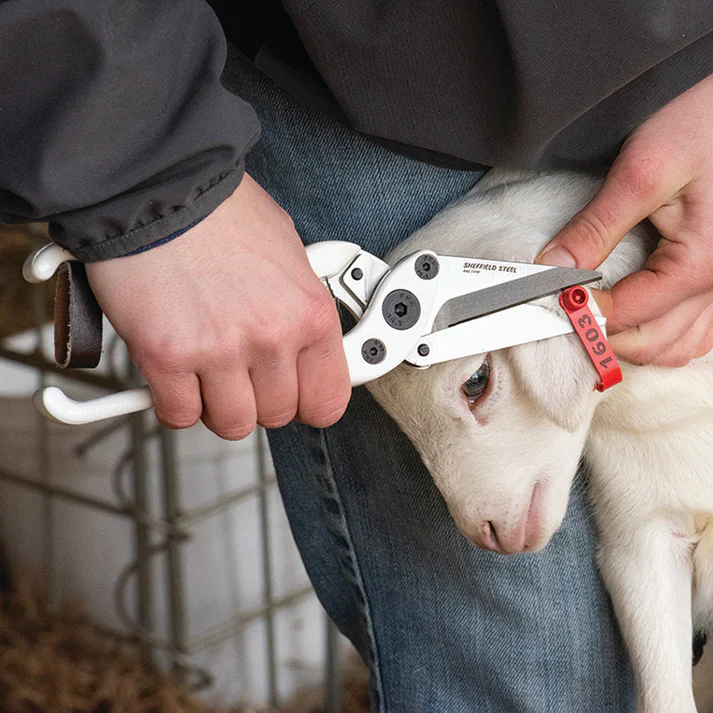 Premier Serrated Foot Trimmer - Image 2