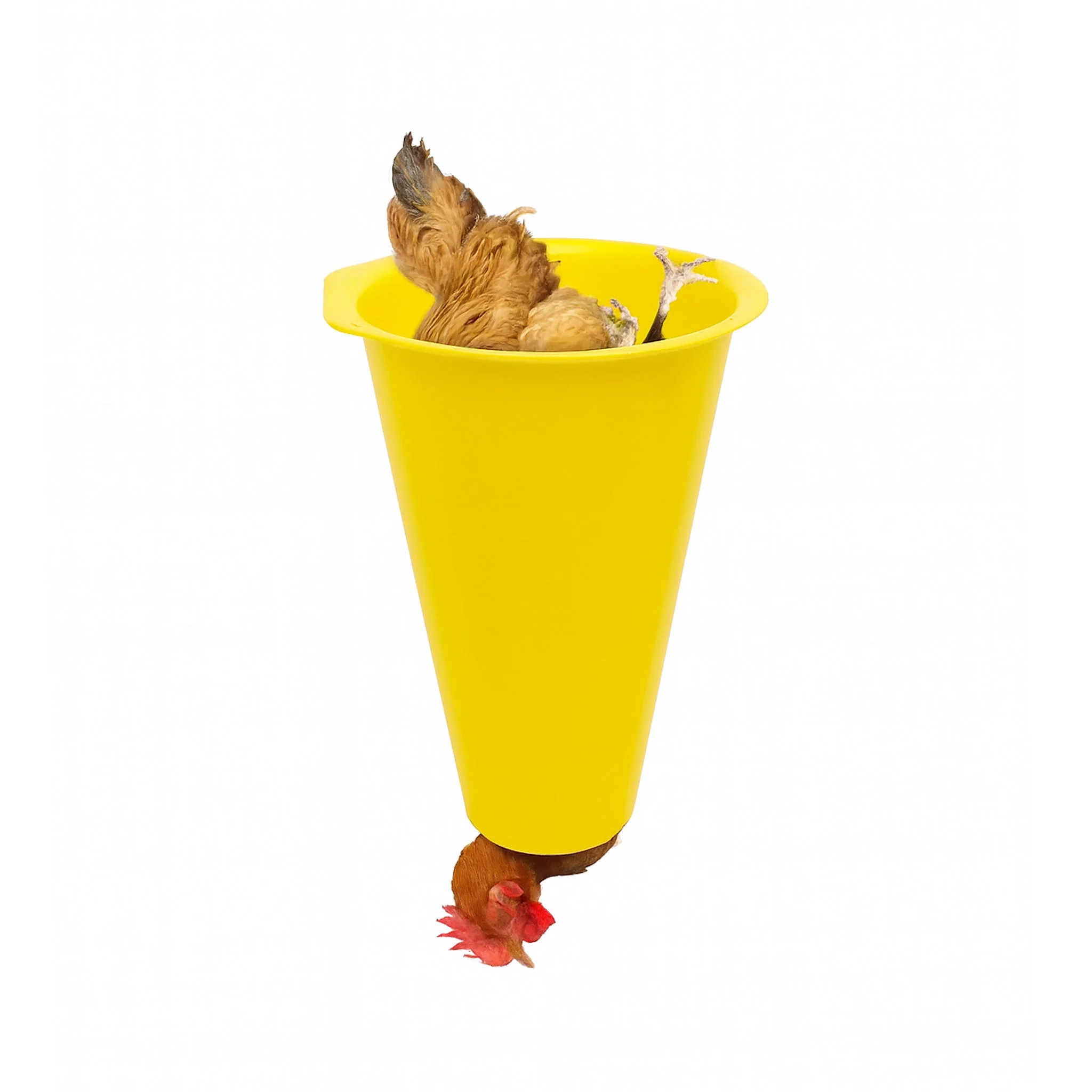 Processing Cone - Chicken - Image 3