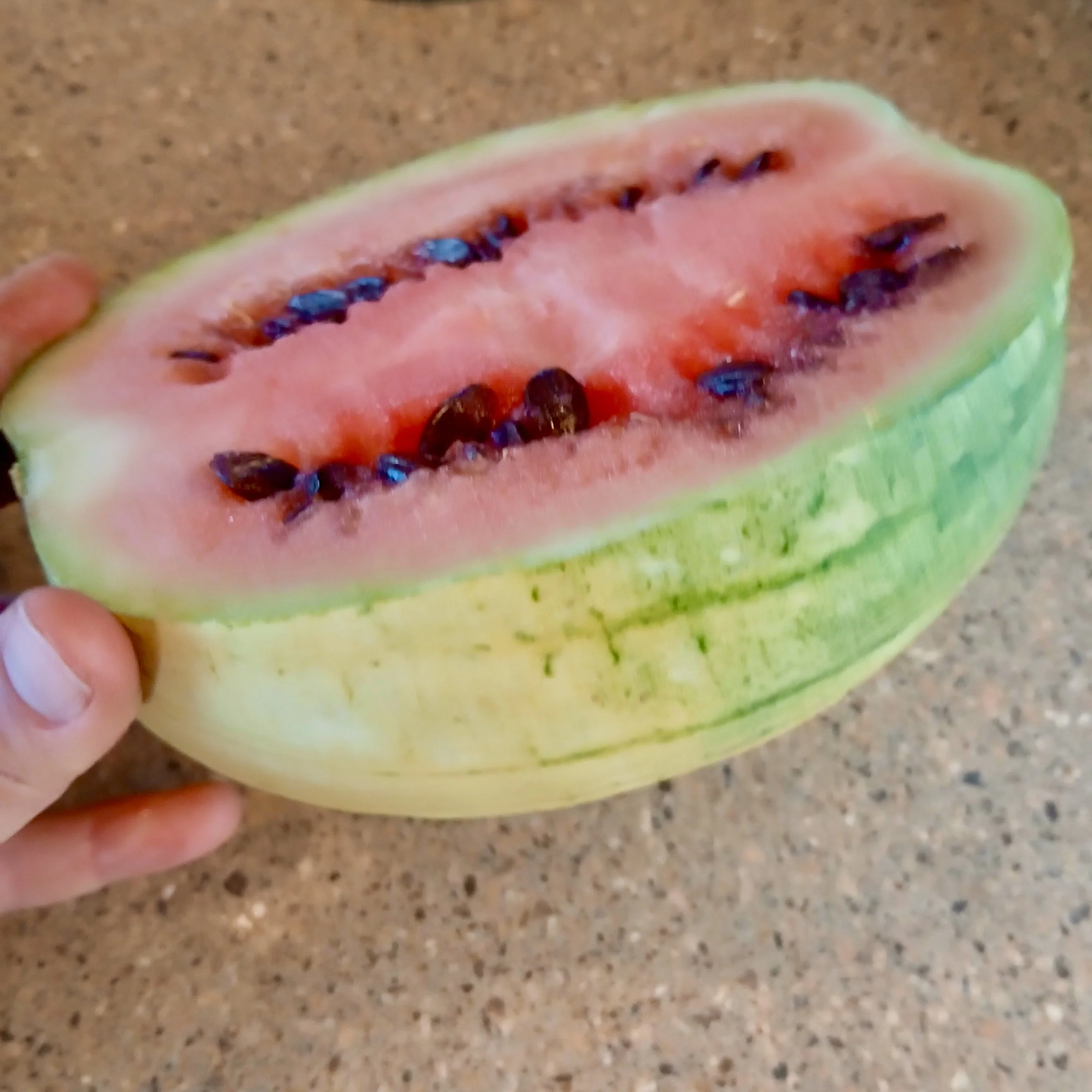 Pueblo Watermelon Mix - Image 5