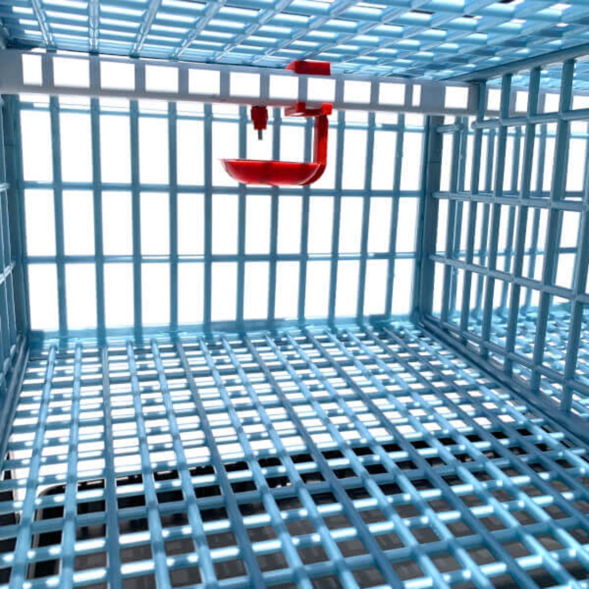 Quail Cage - 2 Layer - Image 8