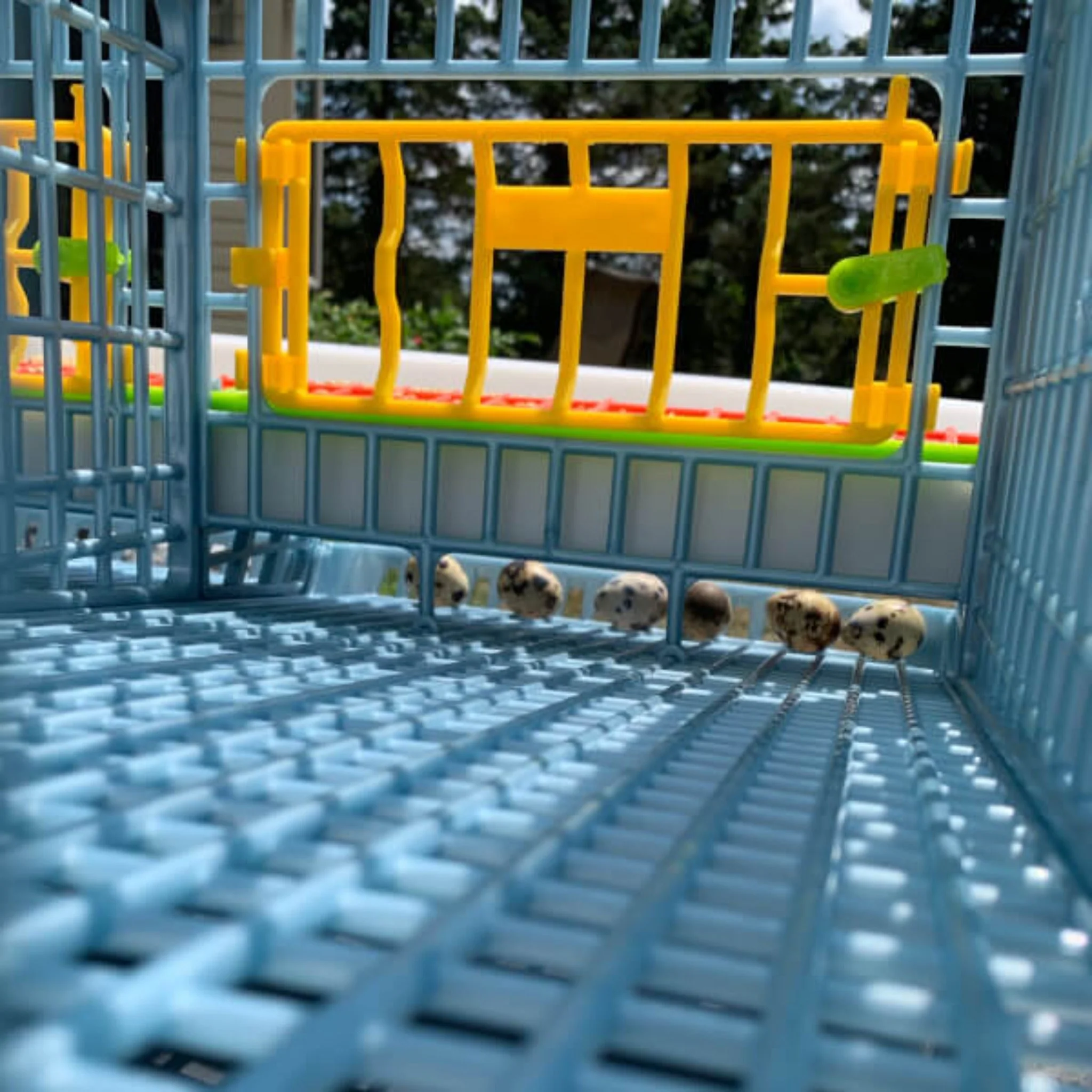 Quail Cage - 2 Layer - Image 9