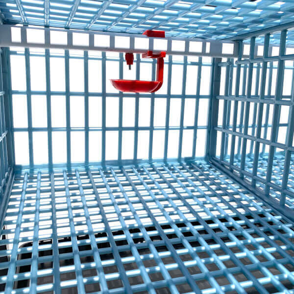 Quail Cage - Double Layer Addition - Image 5
